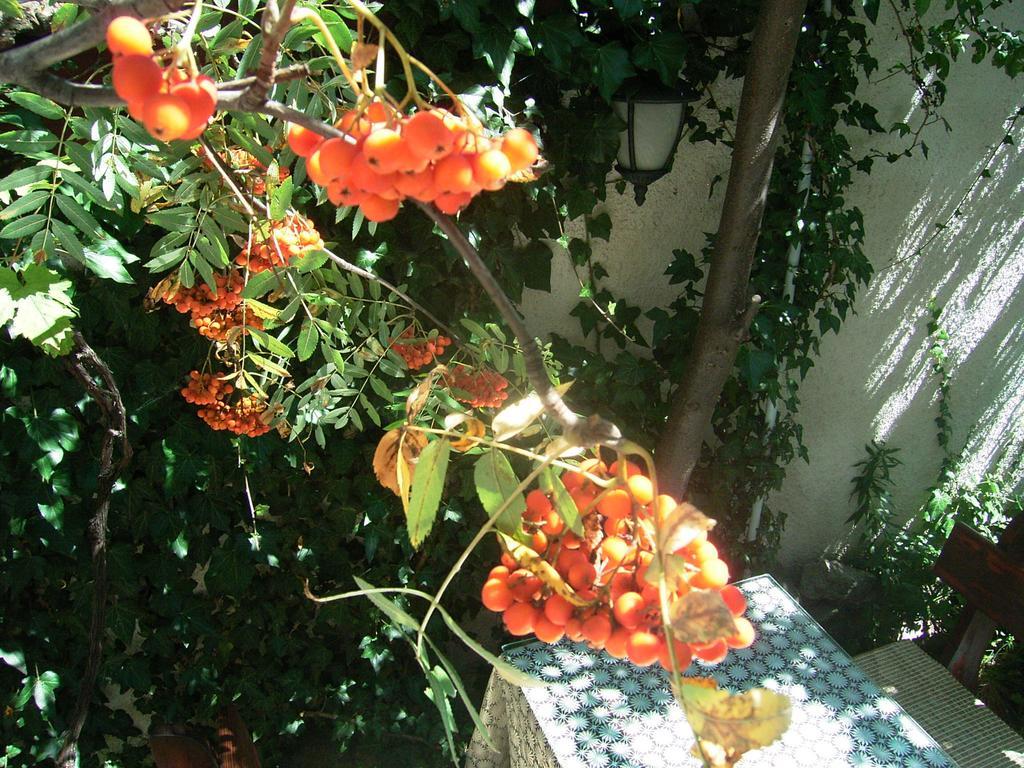 Guest House Zodiac Samokov Extérieur photo