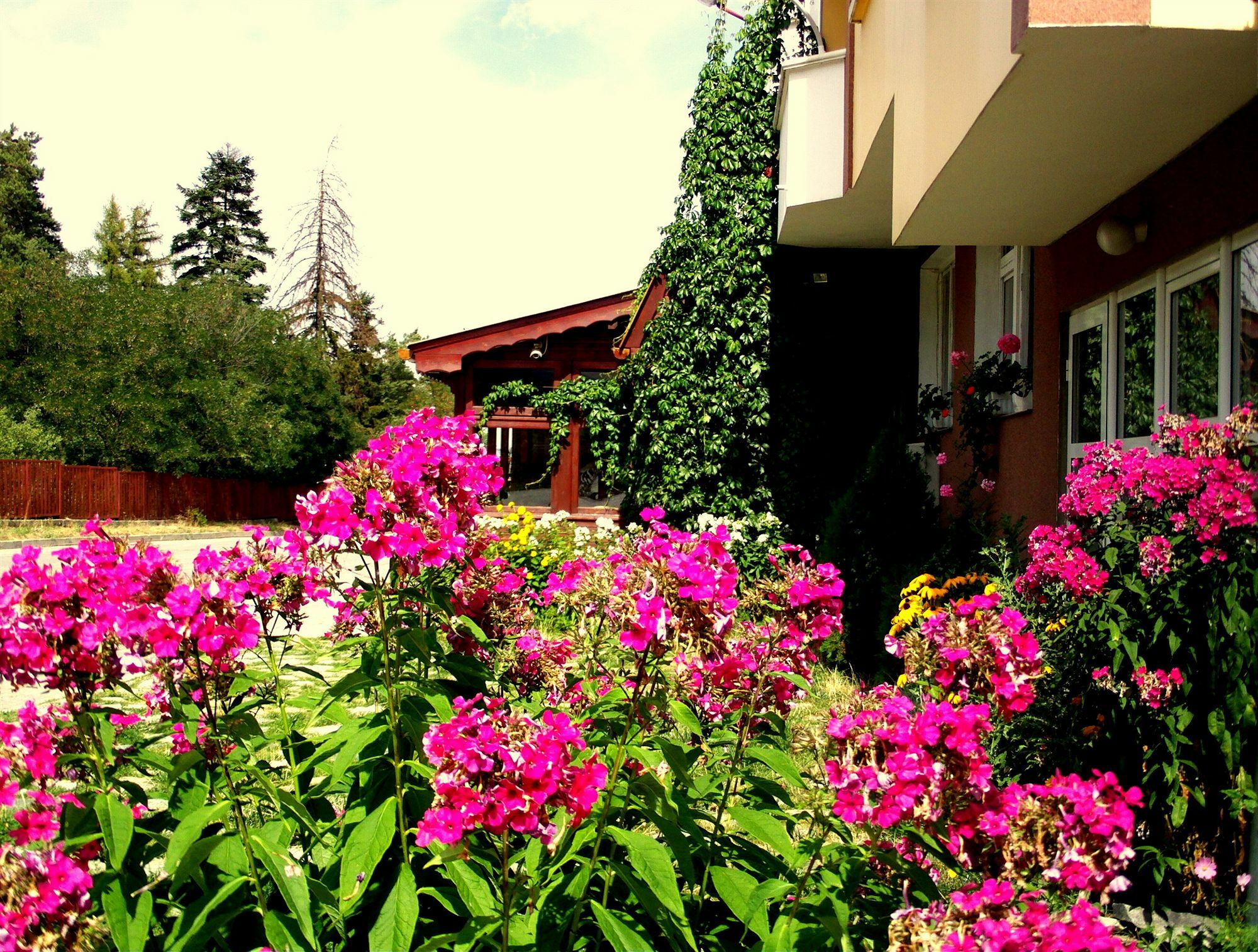 Guest House Zodiac Samokov Extérieur photo